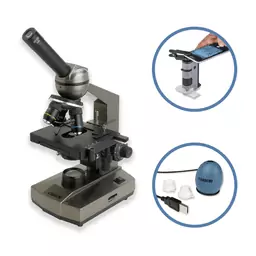 What are the different types of microscopes?